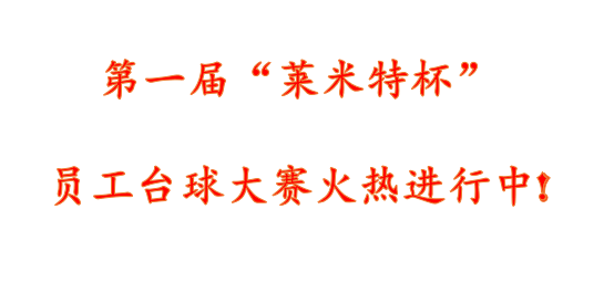 慶新年文體活動專題